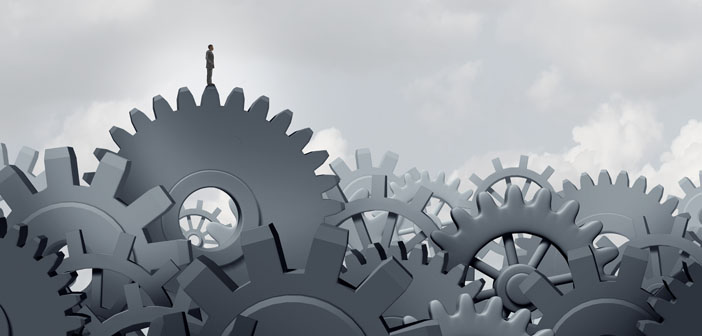 Leadership & Management