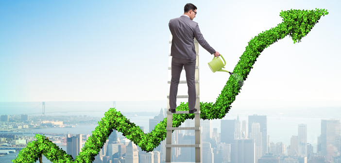 Consumer Duty and sustainable investment